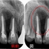 2024 EEdental OGM (1).jpg