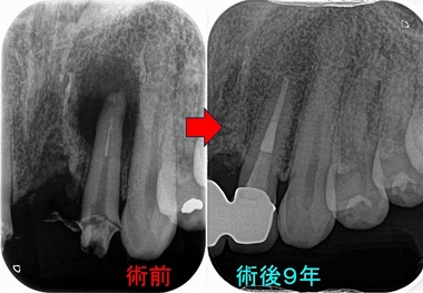 2024 EEdental 2 (1).jpg