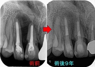 2024 EEdental 2 (2).jpg