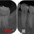 2024 EEdental HMI (1).jpg