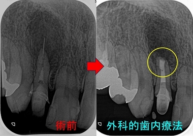 2024 EEdental MAM (2).jpg