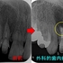 2024 EEdental MAM (2).jpg