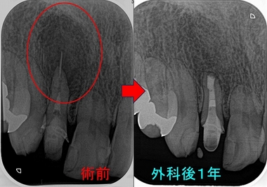 2024 EEdental MAM (3).jpg