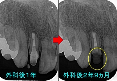 2024 EEdental MAM (4).jpg