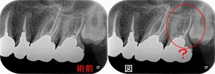 2024 EEdental MY (1).jpg