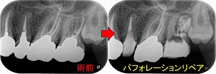 2024 EEdental MY (2).jpg