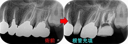 2024 EEdental MY (3).jpg