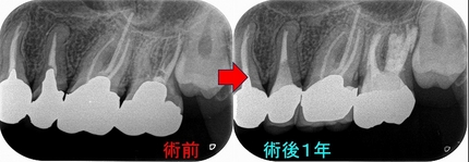 2024 EEdental MY (5).jpg