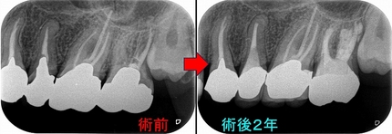 2024 EEdental MY (6).jpg