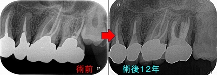 2024 EEdental MY (7).jpg