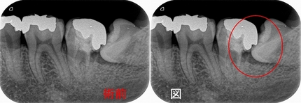 2024 EEdental MYO (1).jpg