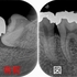 2024 EEdental MYO (1).jpg