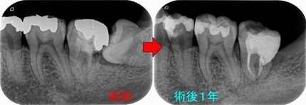 2024 EEdental MYO (3).jpg