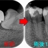 2024 EEdental MYO (3).jpg