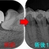 2024 EEdental MYO (4).jpg