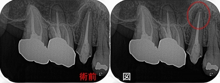 2024 EEdental SMI (1).jpg