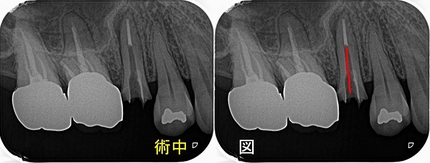 2024 EEdental SMI (2).jpg