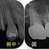 2024 EEdental SMI (2).jpg