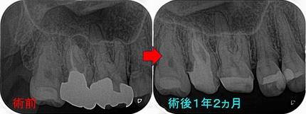 2024 EEdental STO (1).jpg