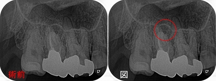 2024 EEdental STO (2).jpg