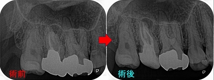 2024 EEdental STO (3).jpg