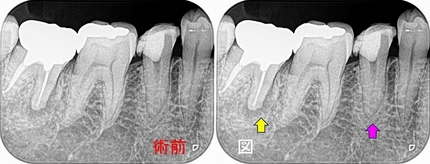 2024 EEdental AFU (1).jpg