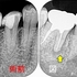 2024 EEdental AFU (1).jpg