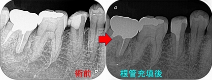 2024 EEdental AFU (2).jpg