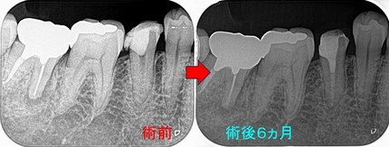 2024 EEdental AFU (3).jpg