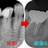 2024 EEdental AFU (3).jpg