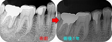 2024 EEdental AFU (4).jpg