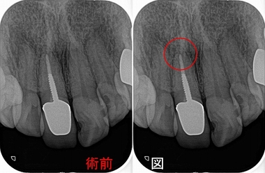 2024 EEdental AY (1).jpg