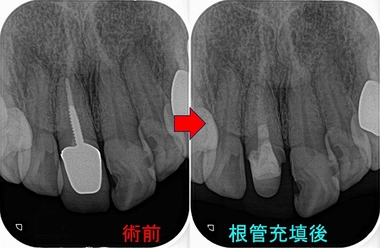 2024 EEdental AY (2).jpg