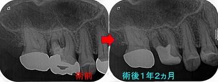 2024 EEdental KAS (12).jpg