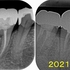 2024 EEdental OKA (1).jpg