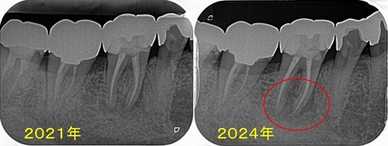 2024 EEdental OKA (2).jpg