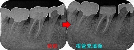 2024 EEdental OKA (3).jpg