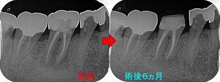 2024 EEdental OKA (4).jpg