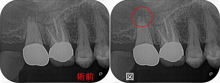 2024EEdental OHI (1).jpg