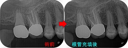 2024EEdental OHI (2).jpg