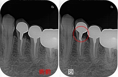 2024 EEdental AOK (1).jpg