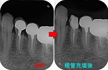 2024 EEdental AOK (2).jpg