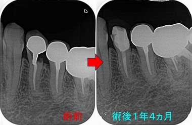 2024 EEdental AOK (3).jpg