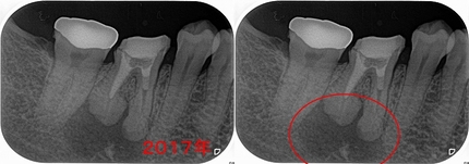 2024 EEdental HM (1).jpg