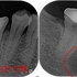 2024 EEdental HM (1).jpg