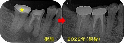 2024 EEdental HM (2).jpg