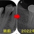 2024 EEdental HM (2).jpg