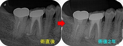 2024 EEdental HM (3).jpg