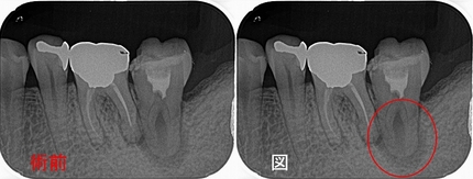 2024 EEdental KOE (1).jpg