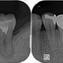 2024 EEdental KOE (1).jpg